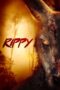 rippy-2024