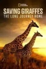 saving-giraffes-the-long-journey-home-2022