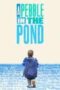 a-pebble-in-the-pond-2022
