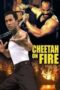 cheetah-on-fire-1992