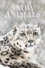 snow-animals-2019